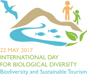 idb-2017-logo-en